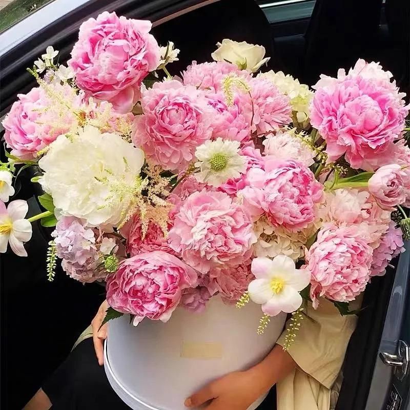 The Queen of Flowers.Peony Flower (Pack of 20)