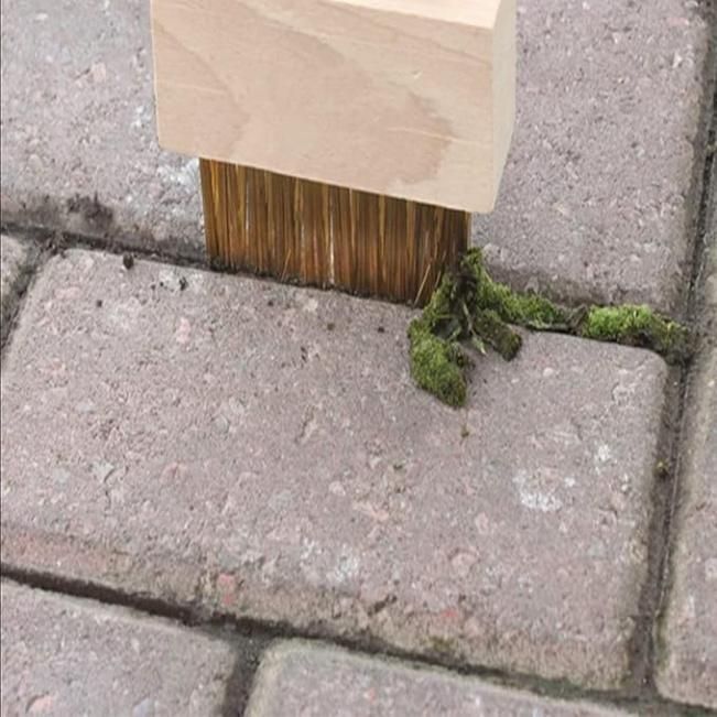 Hard Wire Weed Removal Brush