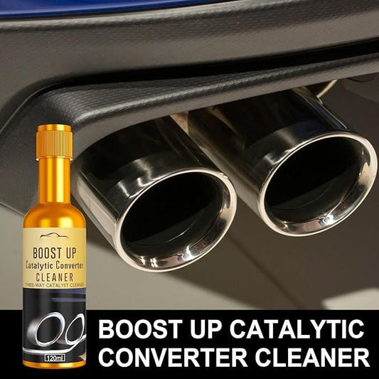 Converter & Fuel Injector (Cleaner) 100ml