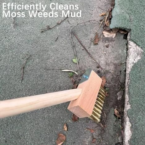 Hard Wire Weed Removal Brush