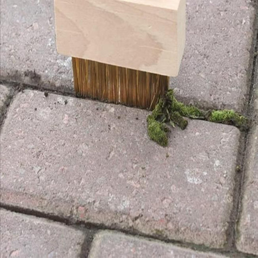 Hard Wire Weed Removal Brush